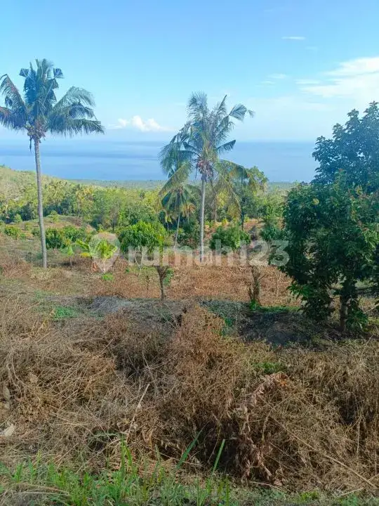 Tanah 9 Hektar View Laut di Kubutambahan Buleleng Cocok untuk Hotel dan Resort