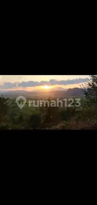 Tanah Terasering di Ababi Karangasem dengan View Sawah Bertingkat dan Laut