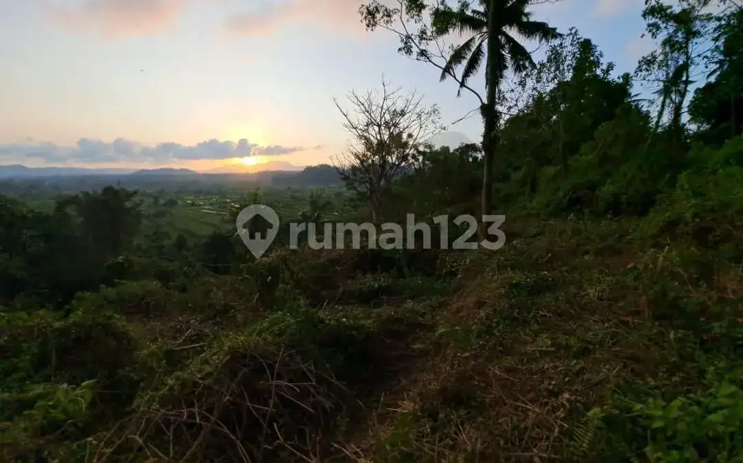 Tanah Terasering di Ababi Karangasem dengan View Sawah Bertingkat dan Laut