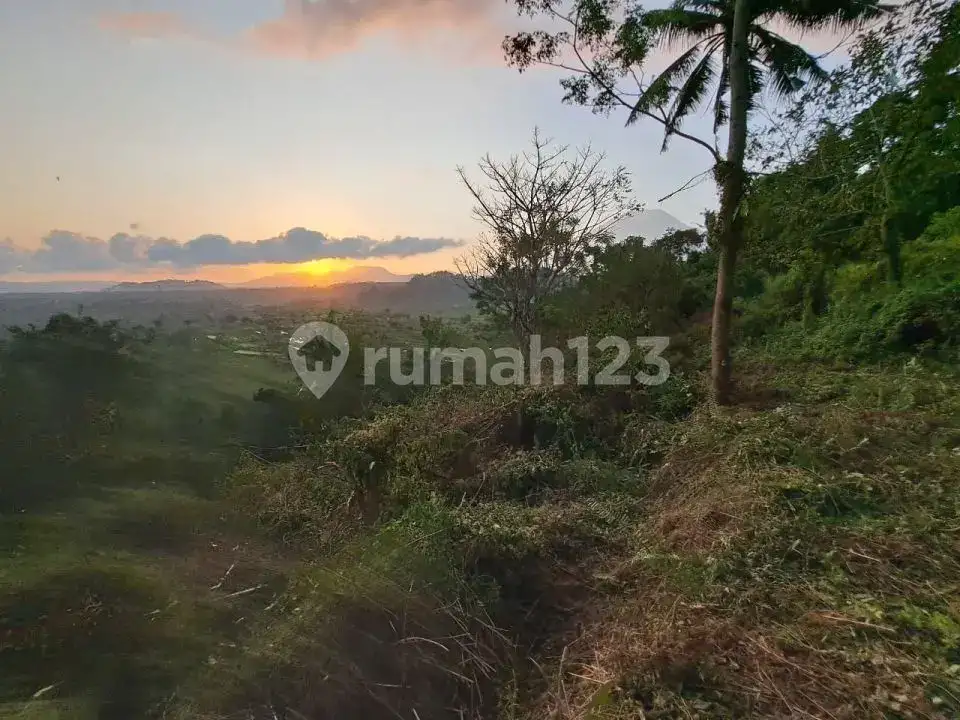 Tanah Terasering di Ababi Karangasem dengan View Sawah Bertingkat dan Laut
