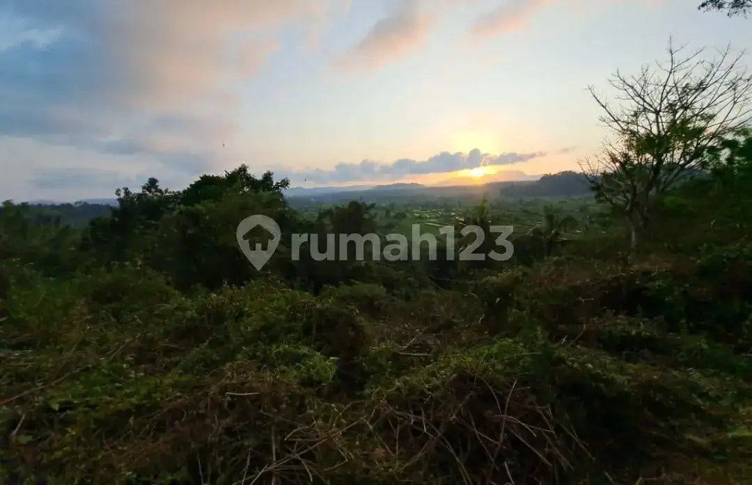 Tanah Terasering di Ababi Karangasem dengan View Sawah Bertingkat dan Laut