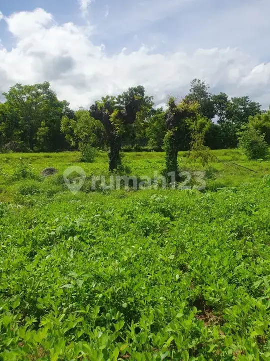 Tanah Terasering di Tulamben dengan Panorama Laut dan Gunung Cocok untuk Villa dan Resort