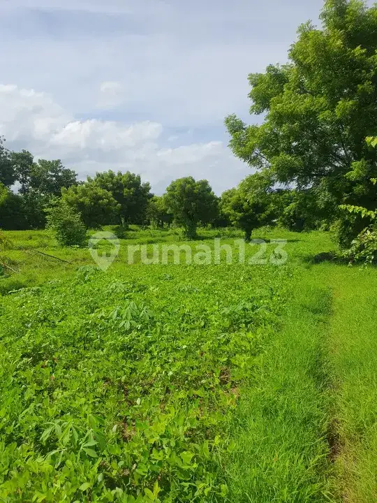 Tanah Terasering di Tulamben dengan Panorama Laut dan Gunung Cocok untuk Villa dan Resort