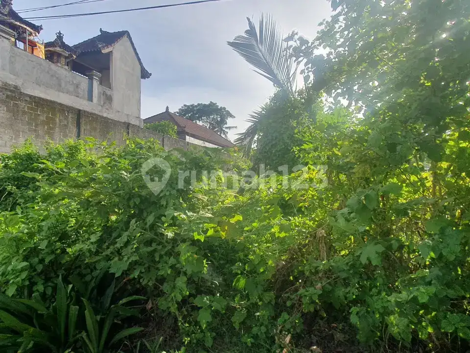 Tanah Pinggir Jalan Provinsi Subagan Cocok untuk Usaha dan Komersial