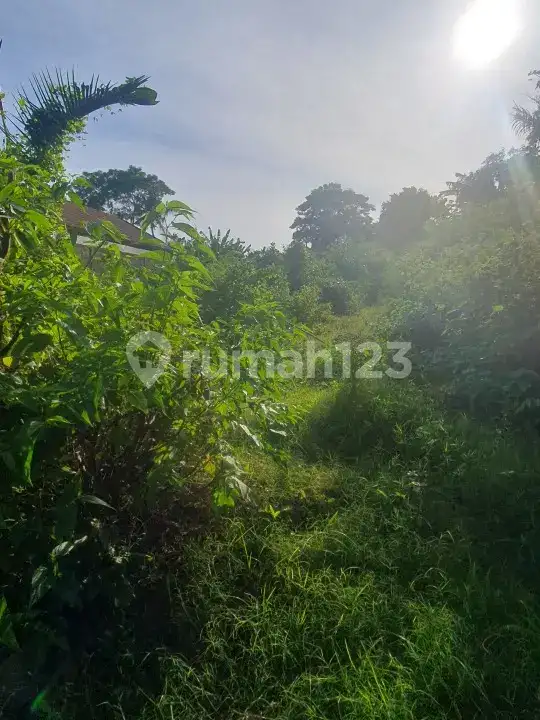 Tanah Pinggir Jalan Provinsi Subagan Cocok untuk Usaha dan Komersial