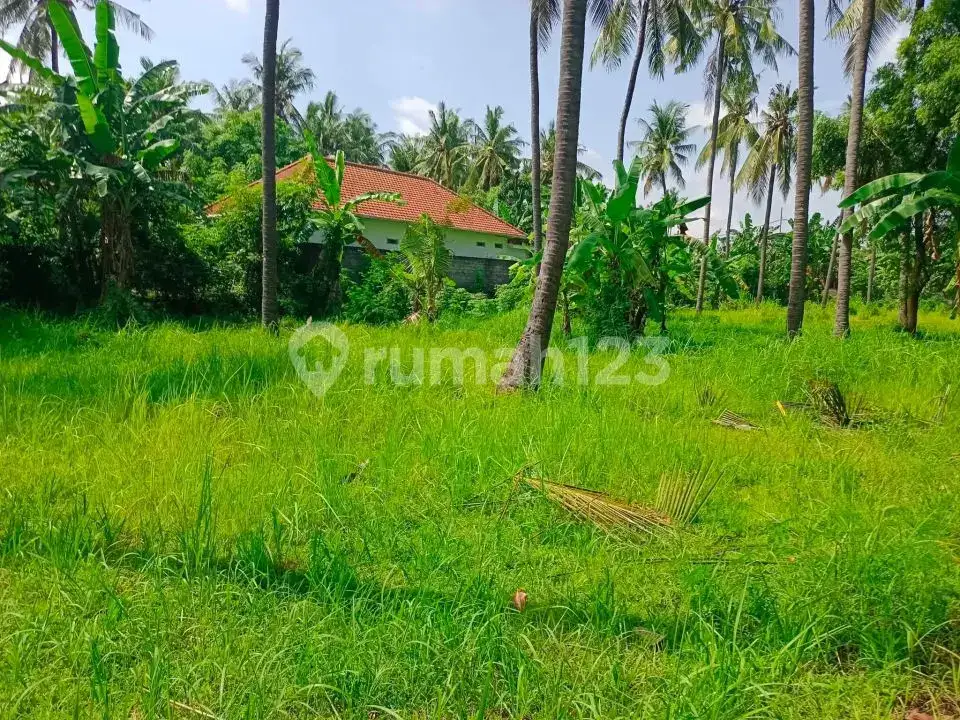 Tanah Datar Kawasan Villa Kalibukbuk Lovina Cocok untuk Villa atau Investasi