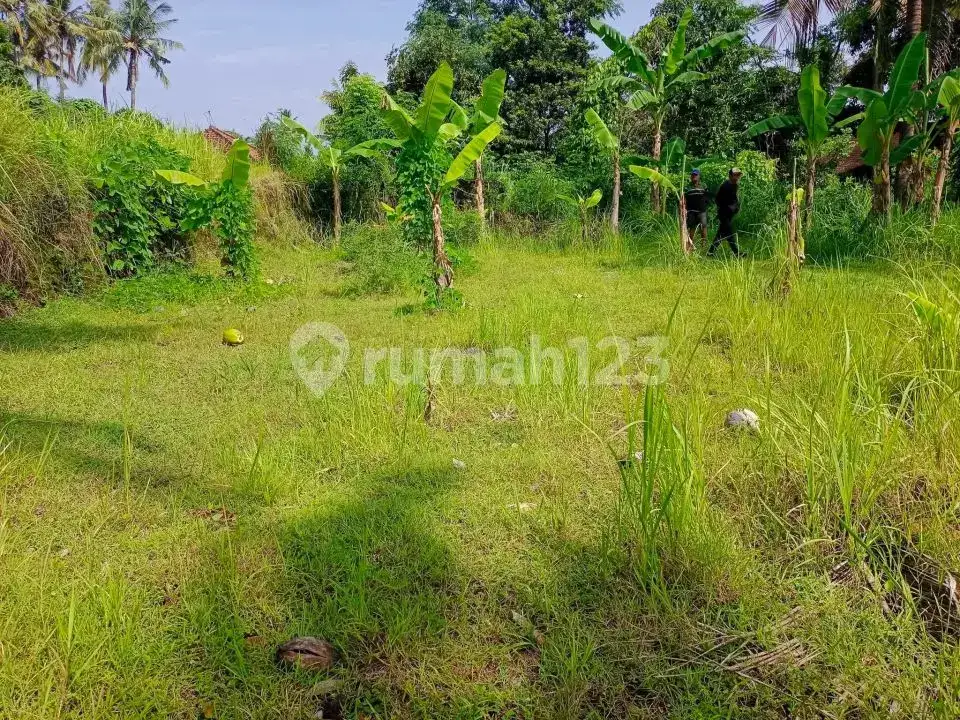 Tanah Datar Kawasan Villa Kalibukbuk Lovina Cocok untuk Villa atau Investasi