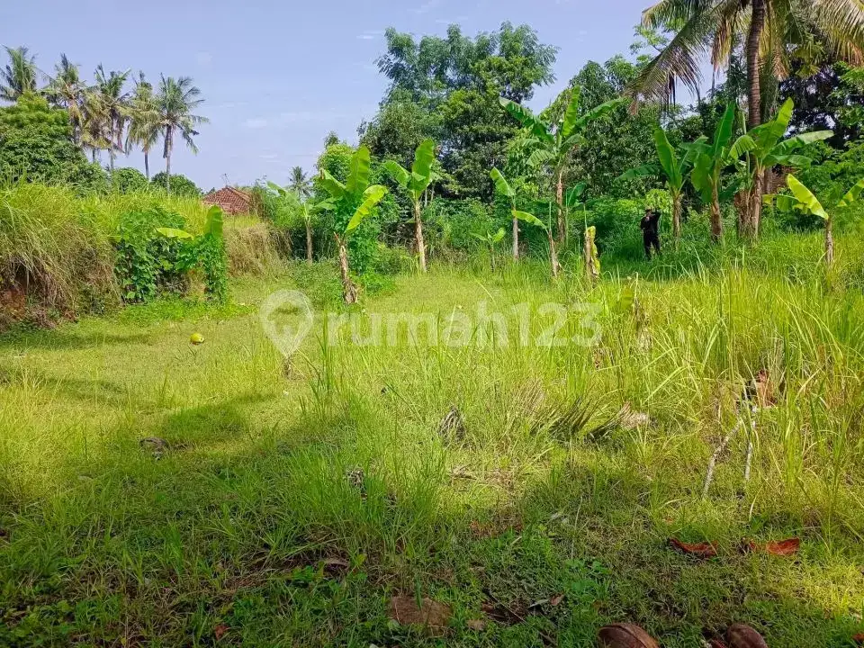 Tanah Datar Kawasan Villa Kalibukbuk Lovina Cocok untuk Villa atau Investasi