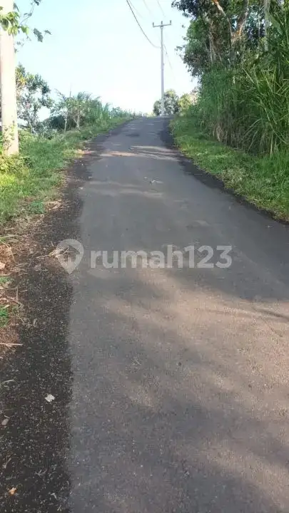 Tanah Ocean View Akses Aspal di Seraya Karangasem Cocok untuk Villa