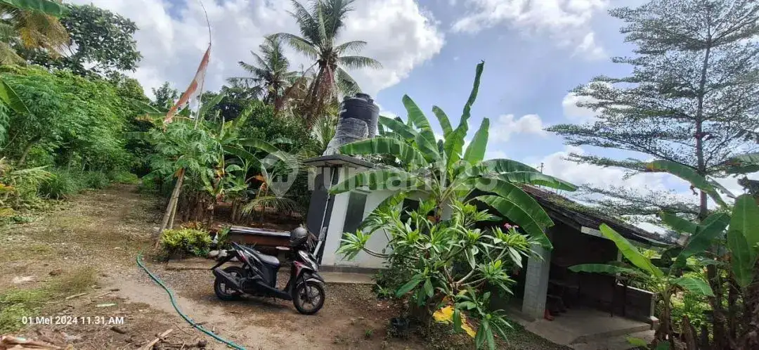 Tanah Kawasan Villa Braban Canggu Cocok untuk Villa atau Usaha Pariwisata
