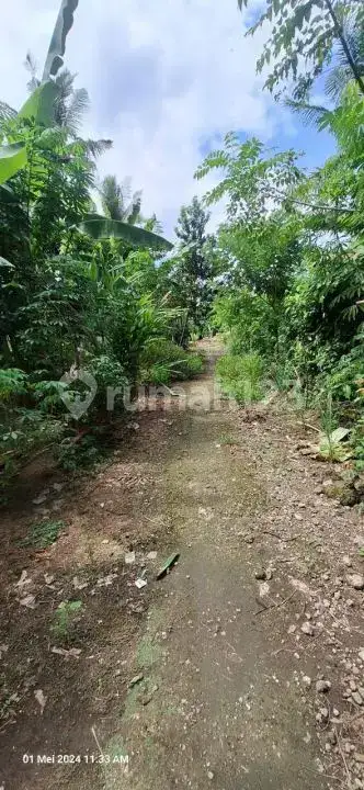 Tanah Kawasan Villa Braban Canggu Cocok untuk Villa atau Usaha Pariwisata