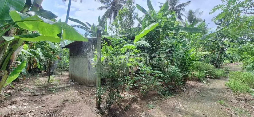 Tanah Kawasan Villa Braban Canggu Cocok untuk Villa atau Usaha Pariwisata