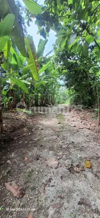 Tanah Kawasan Villa Braban Canggu Cocok untuk Villa atau Usaha Pariwisata