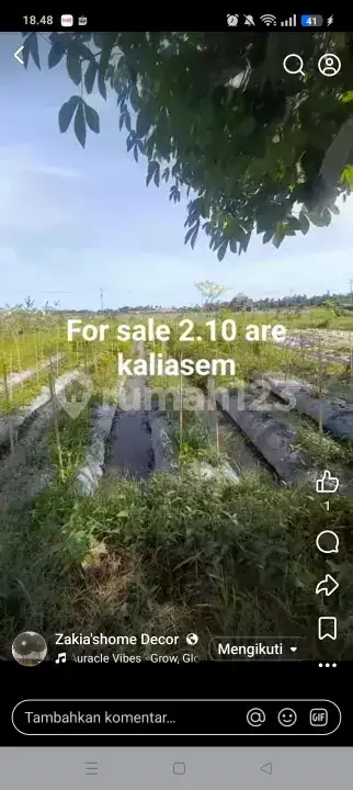 Tanah Datar Dekat Pantai Lovina Area Villa dengan View Sawah di Kaliasem