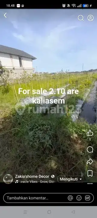 Tanah Datar Dekat Pantai Lovina Area Villa dengan View Sawah di Kaliasem