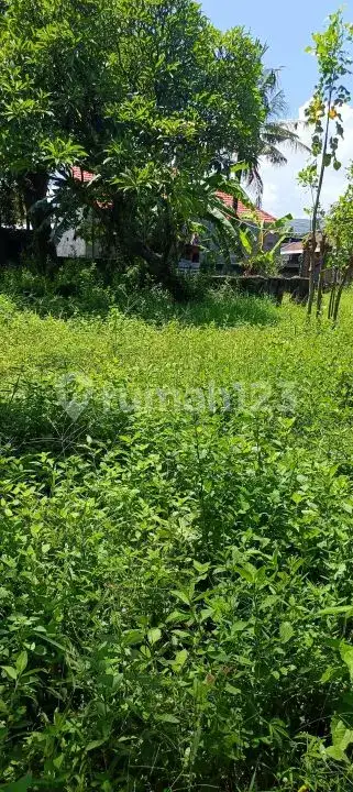 Tanah 10 Are Kawasan Villa Lovina Dekat Pantai dan Pusat Kota