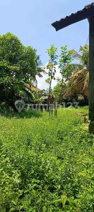 Tanah 10 Are Kawasan Villa Lovina Dekat Pantai dan Pusat Kota