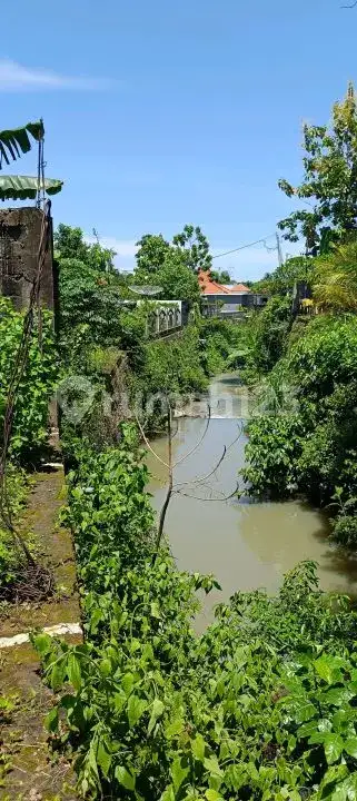 Tanah 10 Are Kawasan Villa Lovina Dekat Pantai dan Pusat Kota