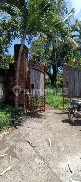 Tanah 10 Are Kawasan Villa Lovina Dekat Pantai dan Pusat Kota