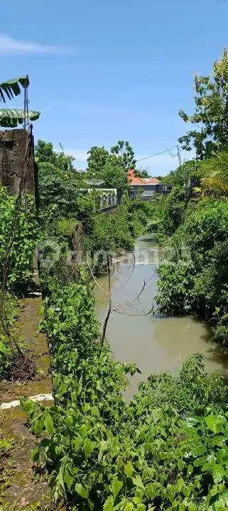 Tanah 10 Are Kawasan Villa Lovina Dekat Pantai dan Pusat Kota