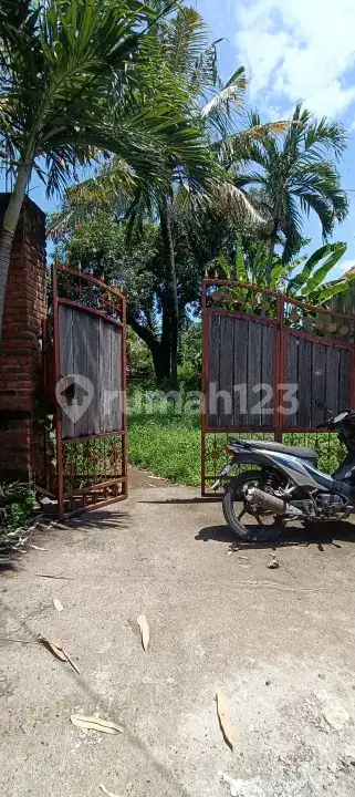 Tanah 10 Are Kawasan Villa Lovina Dekat Pantai dan Pusat Kota