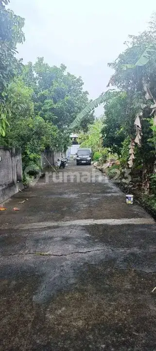 Tanah 5 Are Dekat Pantai dan Pusat Lovina dengan View Sawah