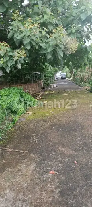 Tanah 5 Are Dekat Pantai dan Pusat Lovina dengan View Sawah