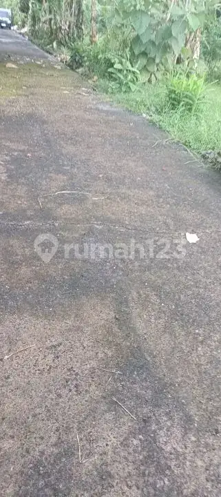 Tanah 5 Are Dekat Pantai dan Pusat Lovina dengan View Sawah