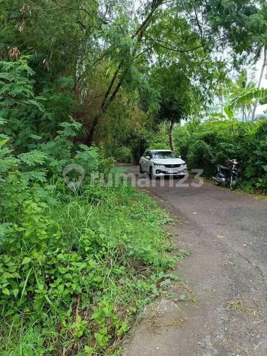 Tanah Kavling 3 Are Dekat Pusat Lovina dan Jalan Besar Cocok untuk Villa