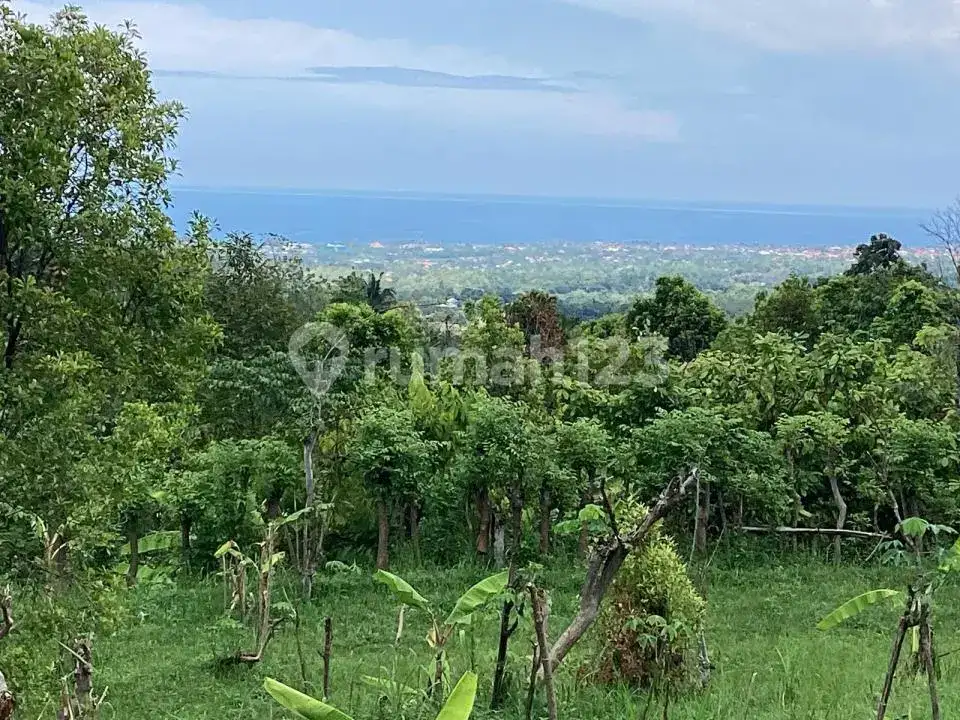 Tanah 5 Are Ocean View di Perbukitan Lovina Cocok untuk Villa atau Homestay