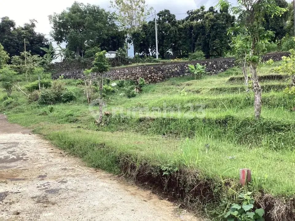 Tanah 5 Are Ocean View di Perbukitan Lovina Cocok untuk Villa atau Homestay