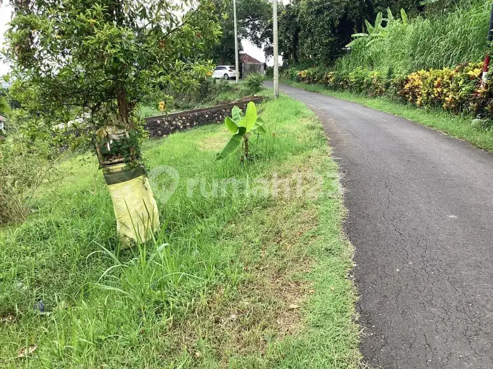 Tanah 5 Are Ocean View di Perbukitan Lovina Cocok untuk Villa atau Homestay