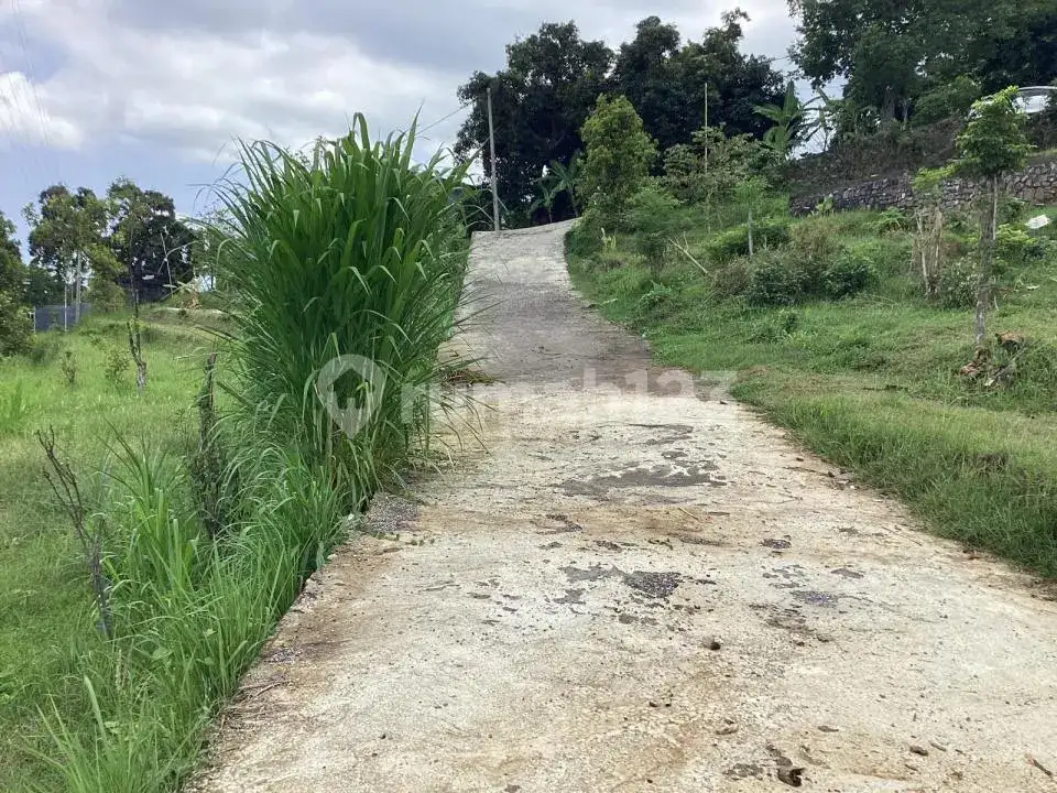 Tanah 5 Are Ocean View di Perbukitan Lovina Cocok untuk Villa atau Homestay