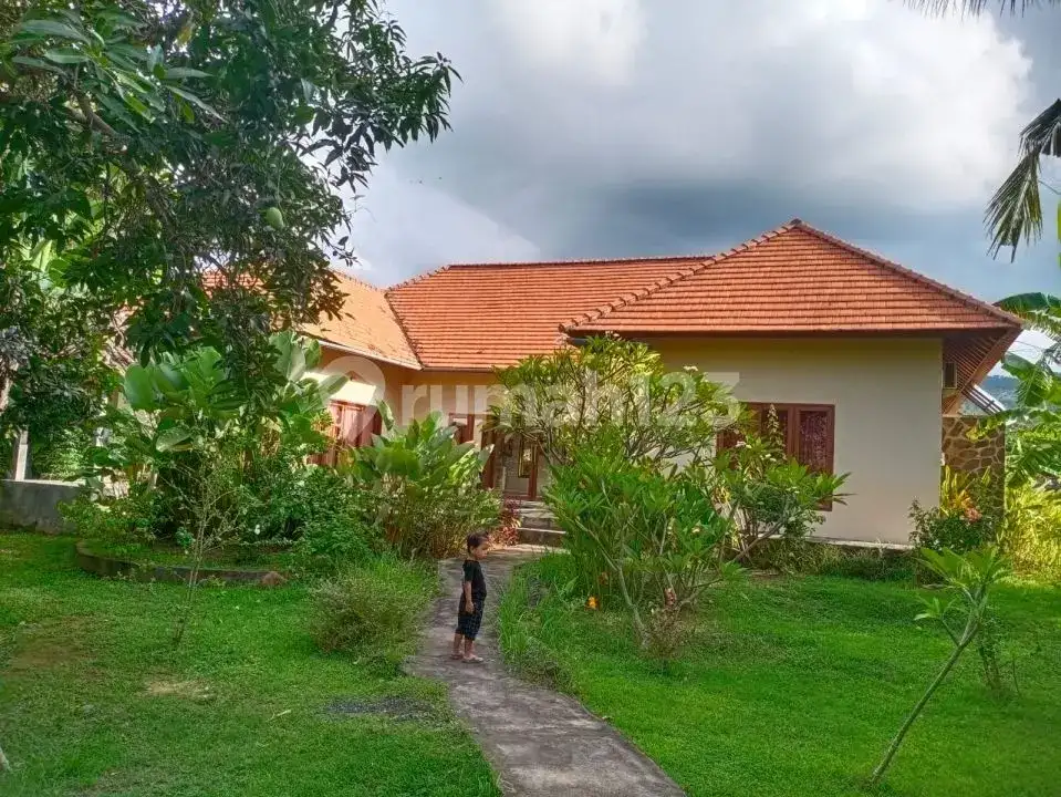 Villa 3 Kamar Tidur Harga Di Bawah Pasaran Dekat Pantai Lovina