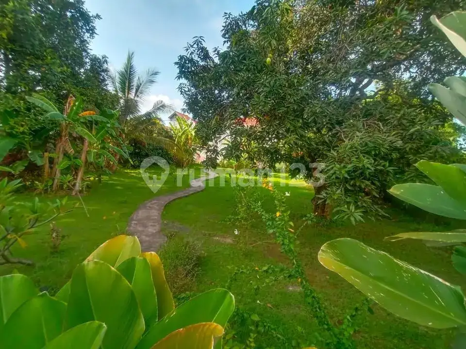 Villa 3 Kamar Tidur Harga Di Bawah Pasaran Dekat Pantai Lovina