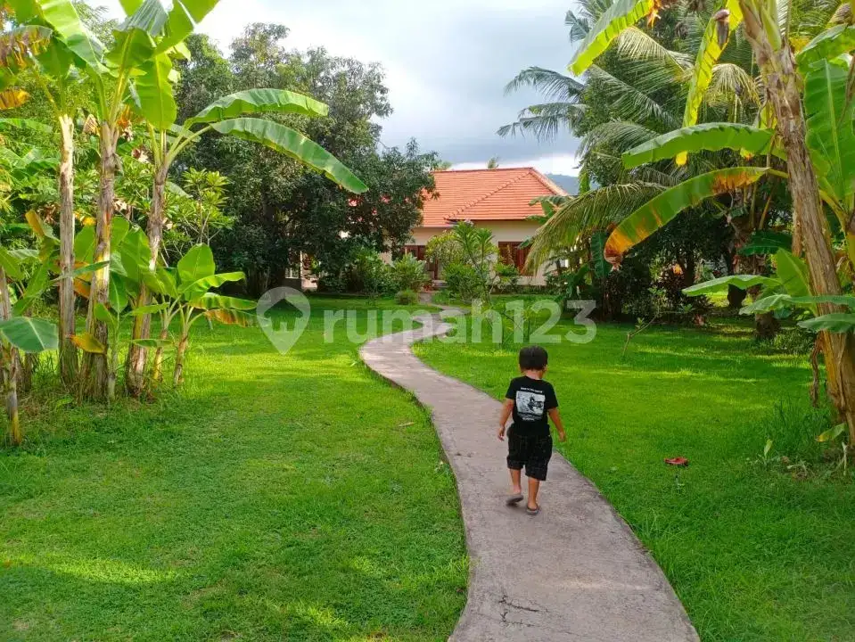 Villa 3 Kamar Tidur Harga Di Bawah Pasaran Dekat Pantai Lovina