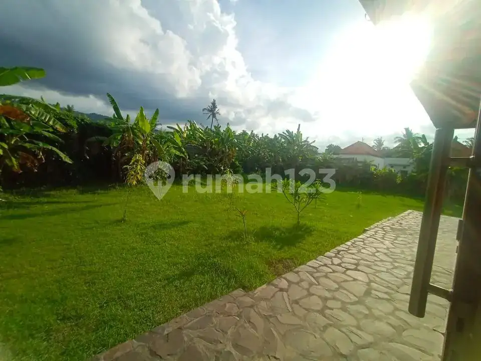 Villa 3 Kamar Tidur Harga Di Bawah Pasaran Dekat Pantai Lovina