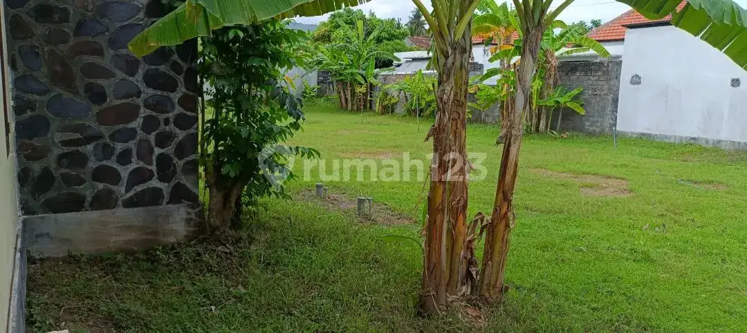 Villa 3 Kamar Tidur Harga Di Bawah Pasaran Dekat Pantai Lovina