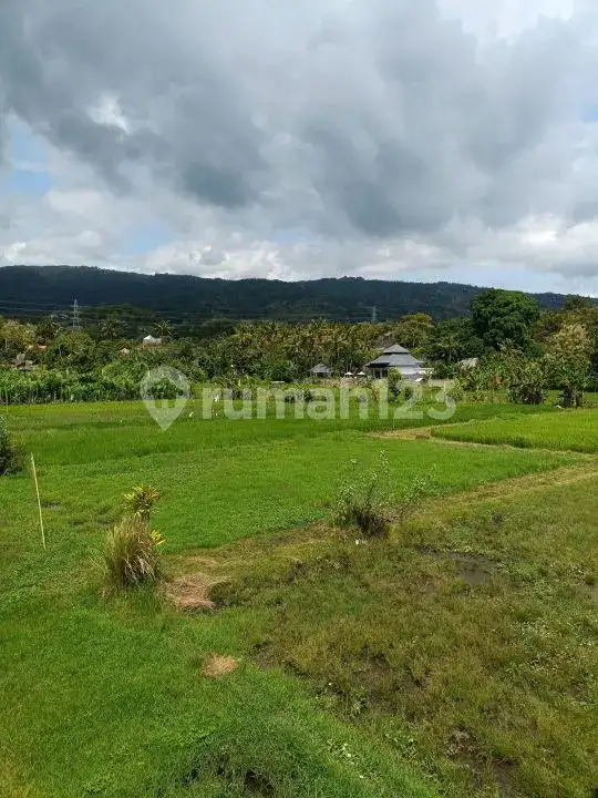 Villa 2 Kamar Tidur Dekat Pusat Lovina dengan View Sawah dan Pegunungan di Kaliasem