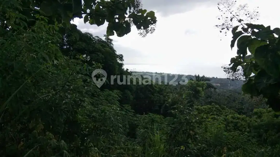 Tanah Bukit Lovina dengan Ocean View Cocok untuk Villa atau Homestay