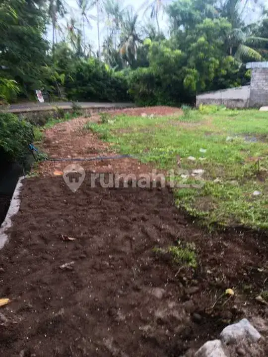 Tanah Kaliasem Lovina dengan View Pegunungan dan Sawah Cocok untuk Villa
