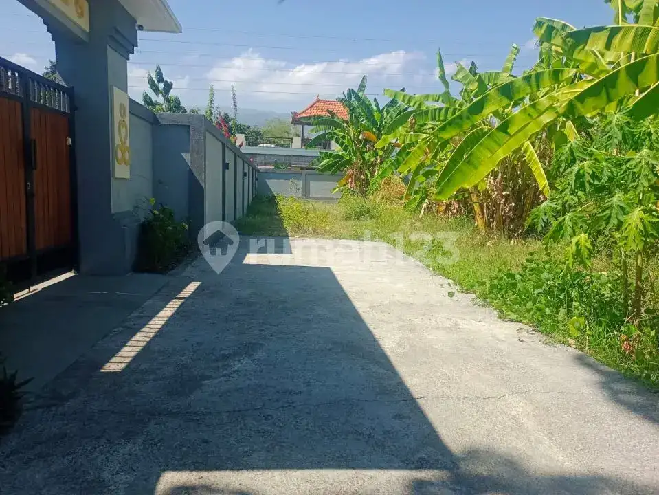Tanah Datar Area Villa di Lovina Cocok untuk Pengembangan Villa dan Investasi Jangka Panjang