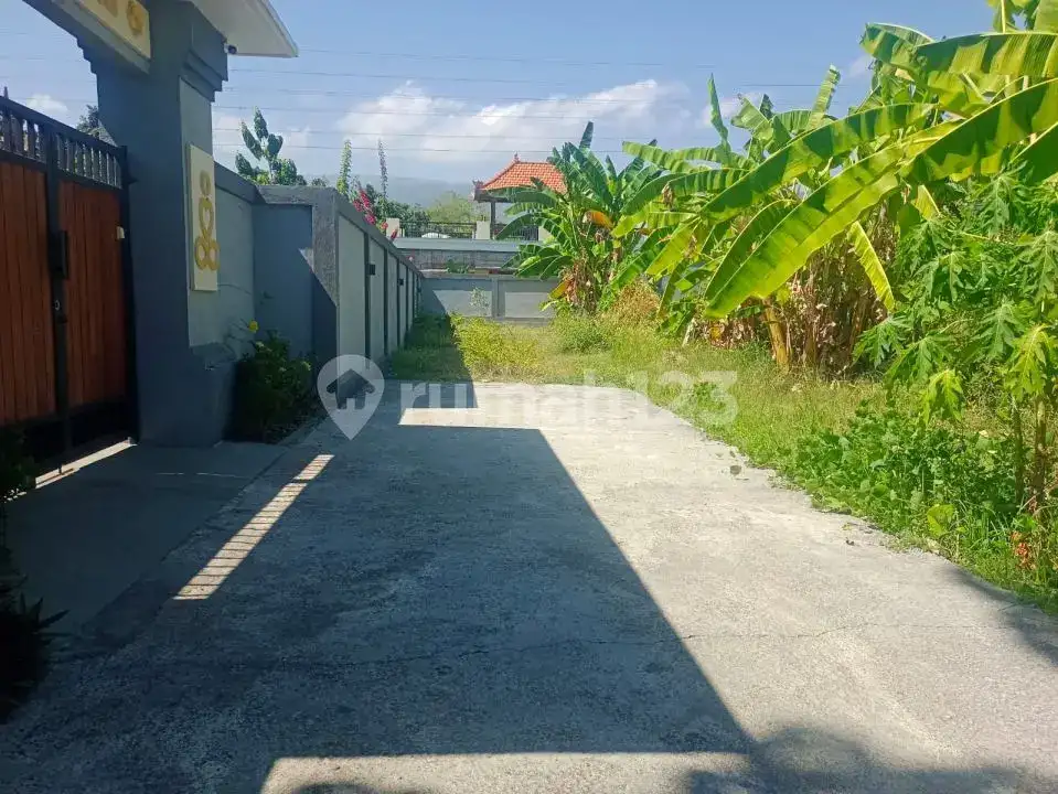 Tanah Datar Area Villa di Lovina Cocok untuk Pengembangan Villa dan Investasi Jangka Panjang