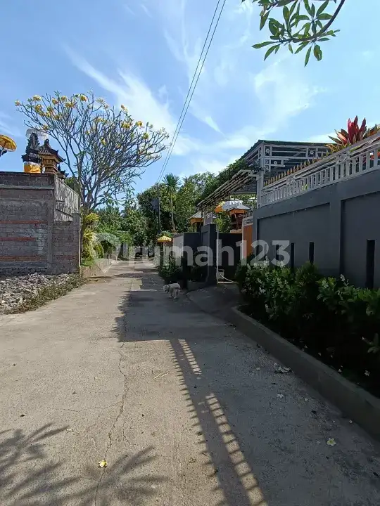2 Unit Rumah di Atas Lahan 400 m² Dekat Pantai dan Central Lovina
