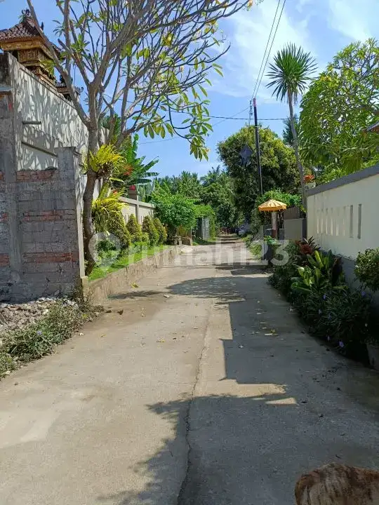 2 Unit Rumah di Atas Lahan 400 m² Dekat Pantai dan Central Lovina