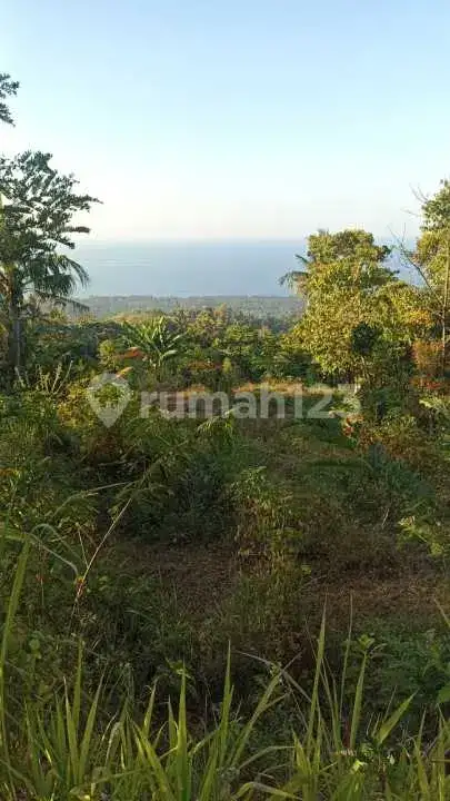 Tanah 31 Are dengan View Laut Dekat Pantai Lovina