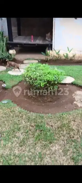 Villa Beachfront 4 Kamar dengan Taman Luas di Dencarik Buleleng