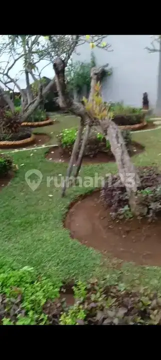 Villa Beachfront 4 Kamar dengan Taman Luas di Dencarik Buleleng