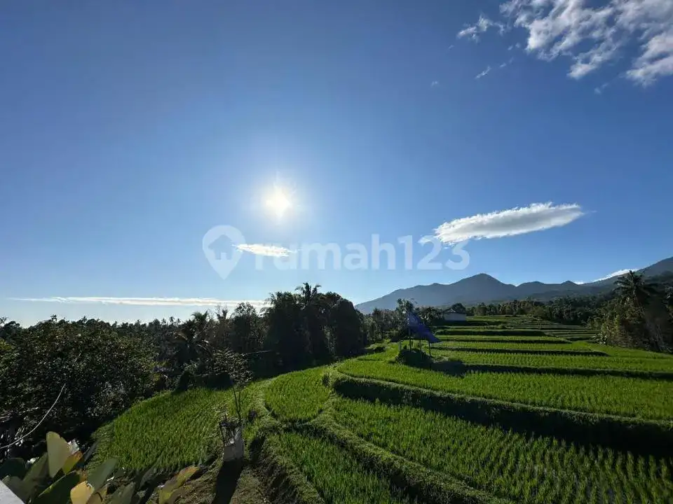 Villa dengan Pemandangan Sawah dan Laut di Area Tenang Sambangan Singaraja