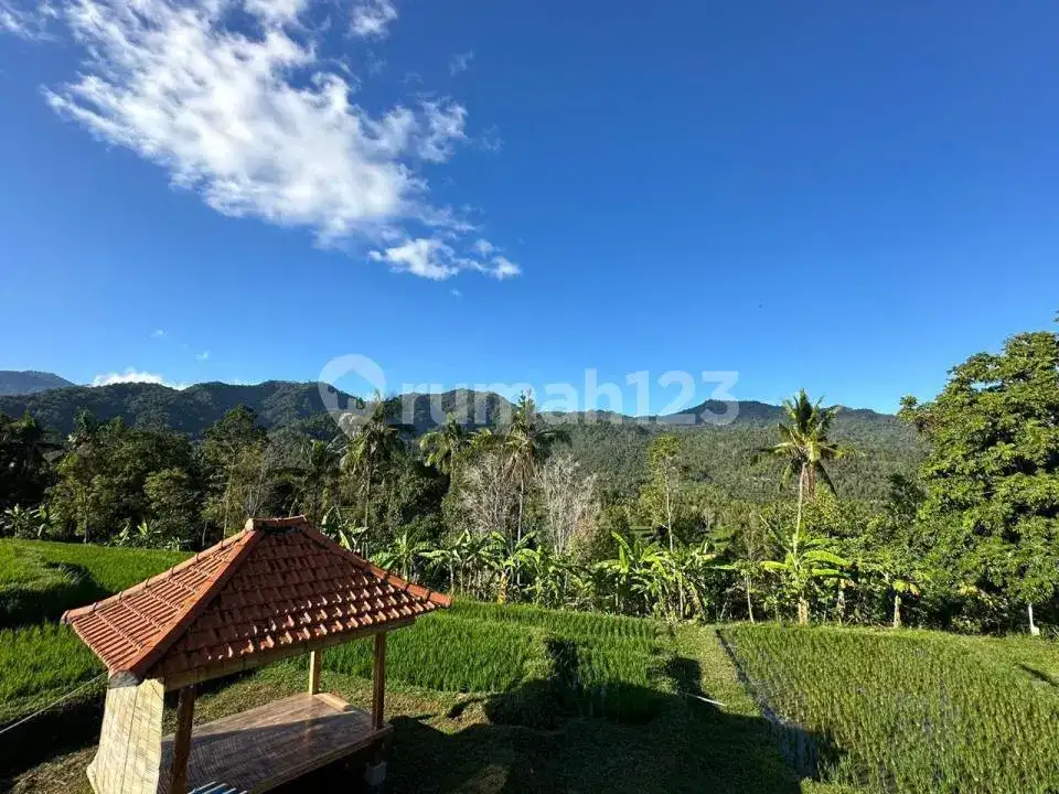 Villa dengan Pemandangan Sawah dan Laut di Area Tenang Sambangan Singaraja